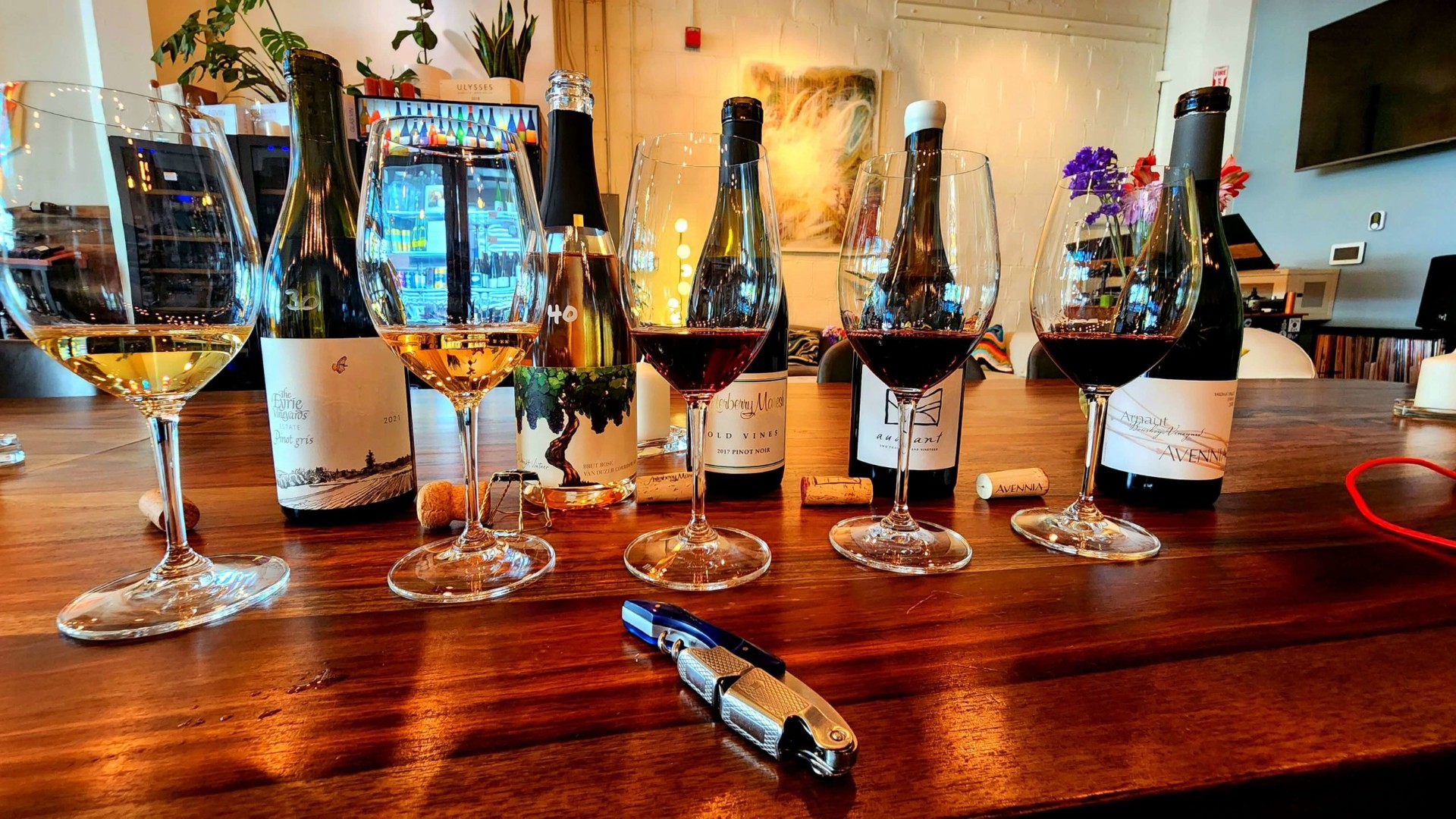 A Willamette Valley wine bracket tasting spread at Backcountry Wine